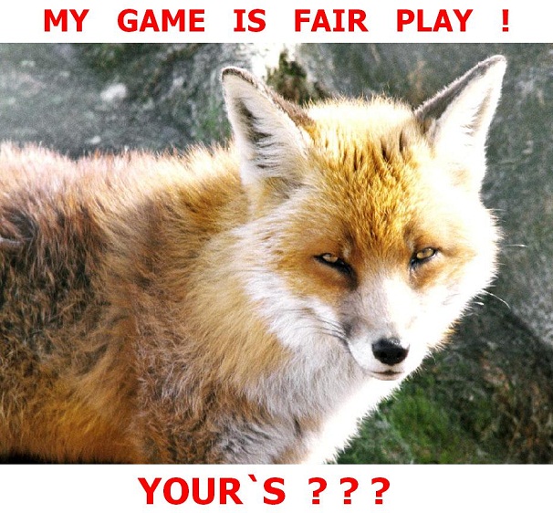 foxgame1.jpg